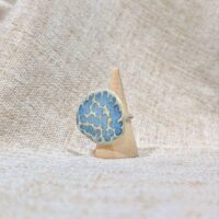 Anillo Zarza